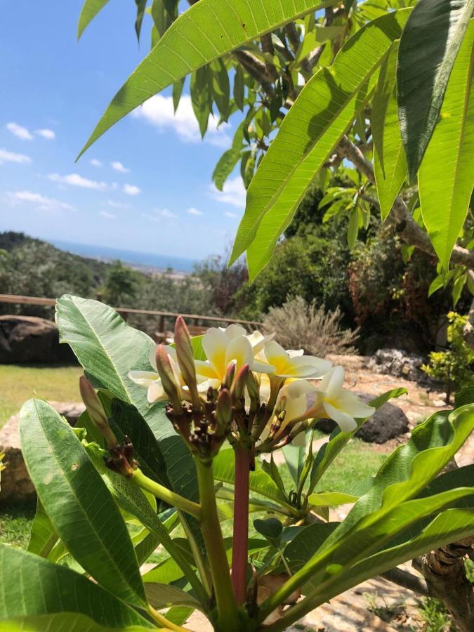 Вилла Above The Sea Ein Hod Экстерьер фото