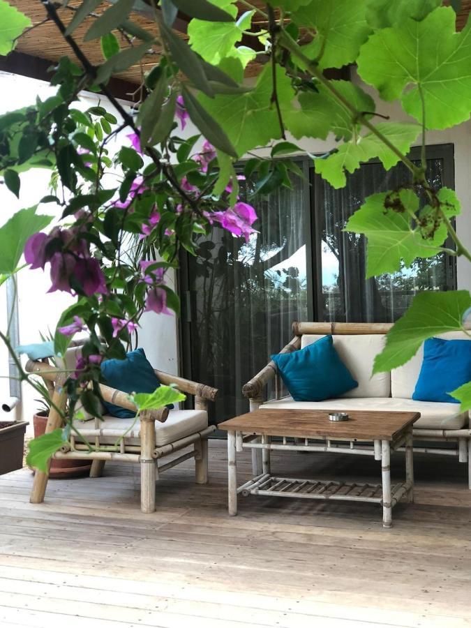 Вилла Above The Sea Ein Hod Экстерьер фото