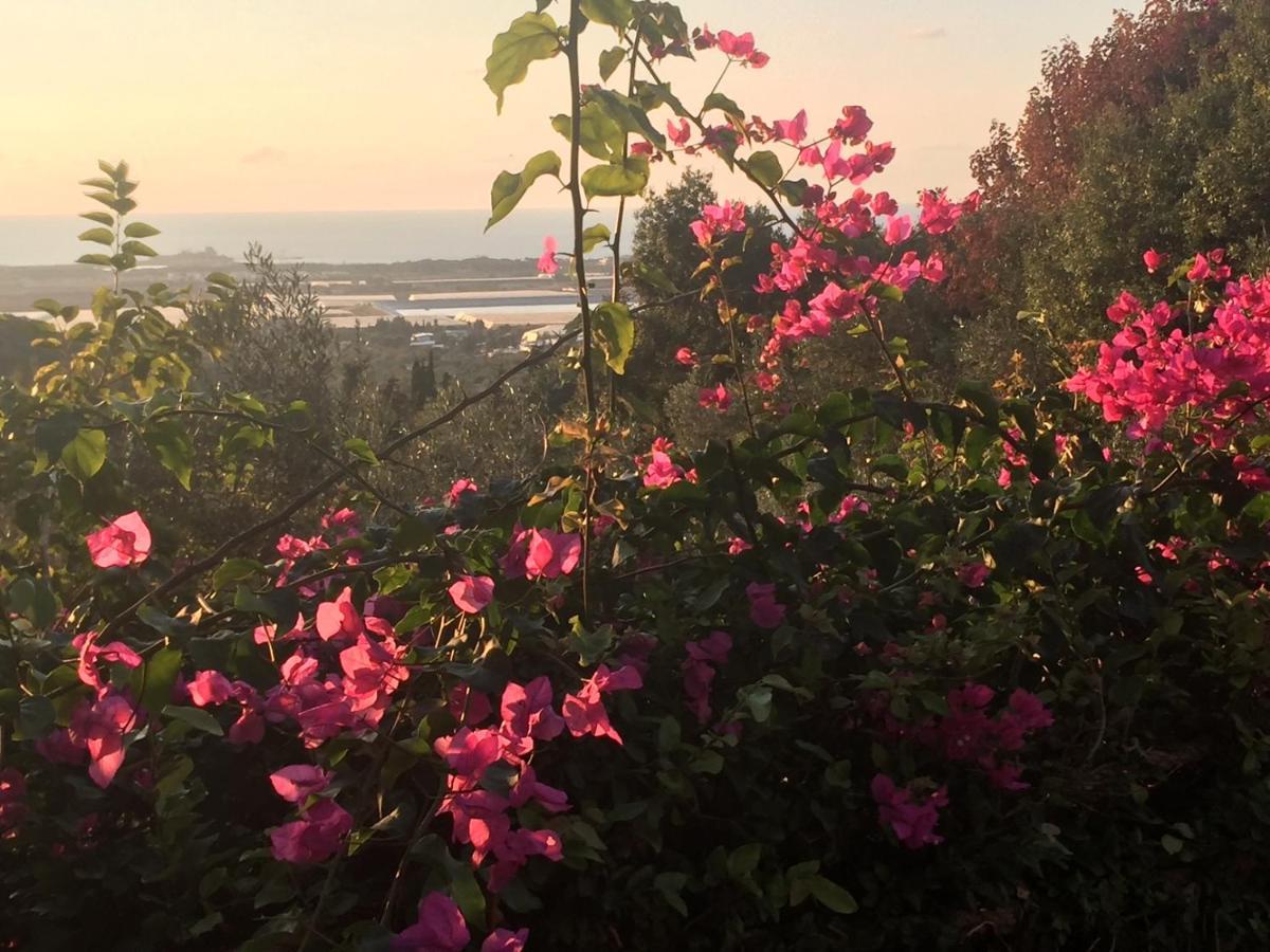 Вилла Above The Sea Ein Hod Экстерьер фото