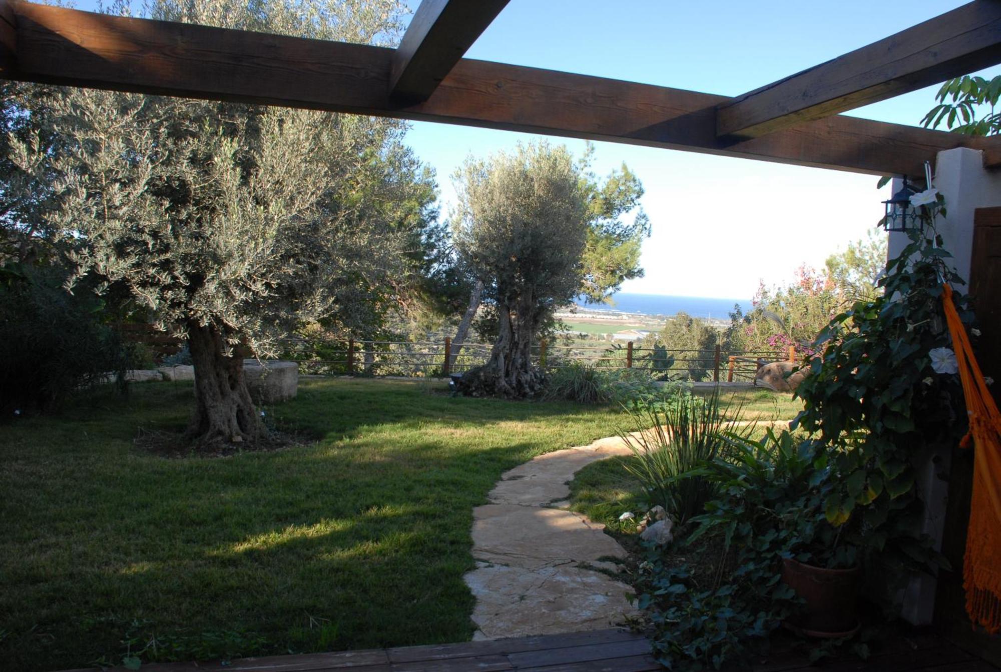 Вилла Above The Sea Ein Hod Экстерьер фото