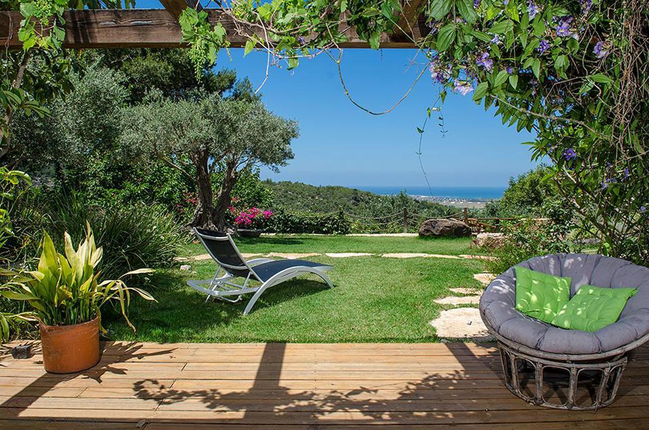 Вилла Above The Sea Ein Hod Экстерьер фото