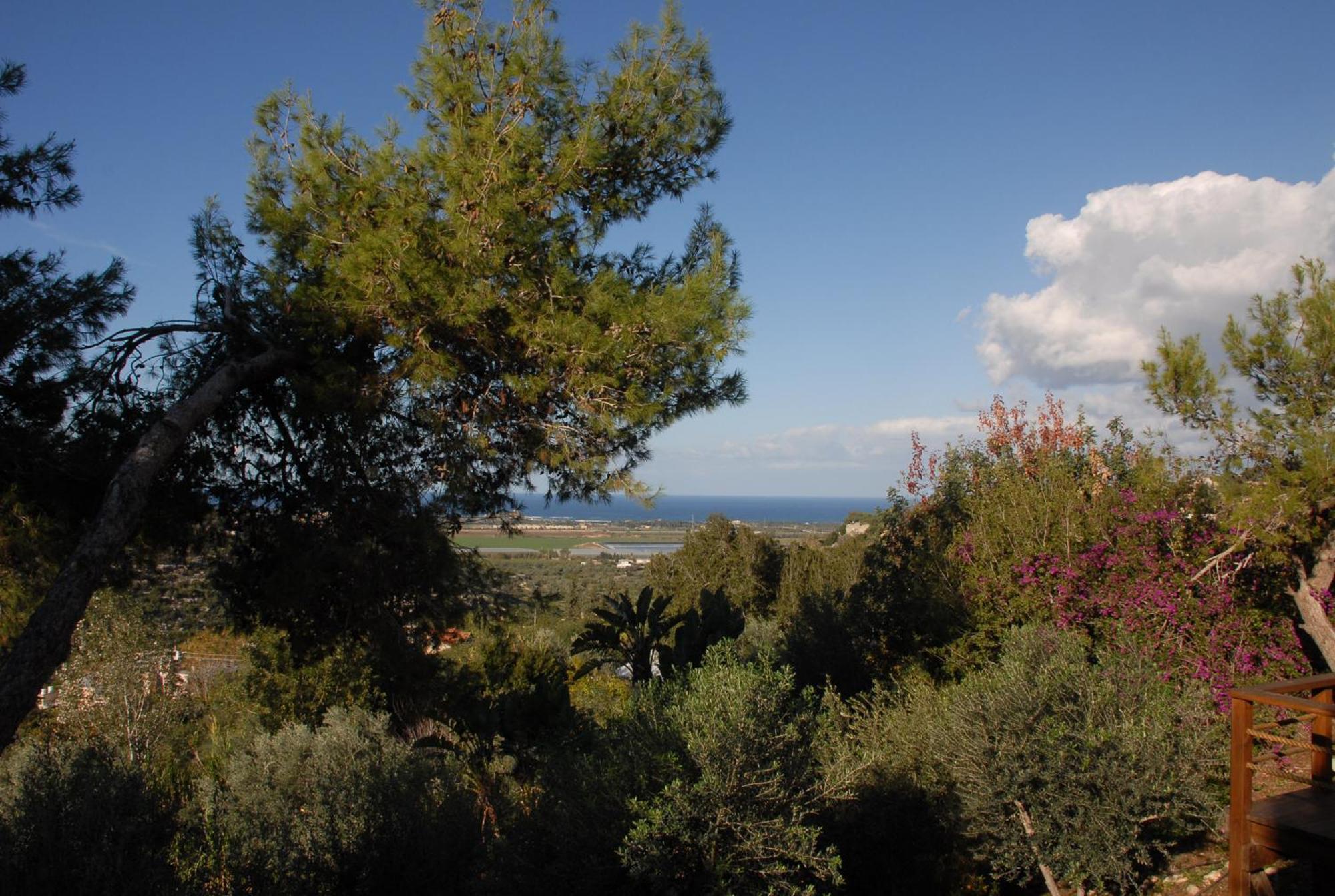 Вилла Above The Sea Ein Hod Экстерьер фото